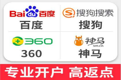某电商平台的SEM推广实践与效果展示